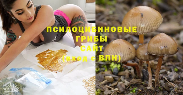 не бодяженный Новодвинск