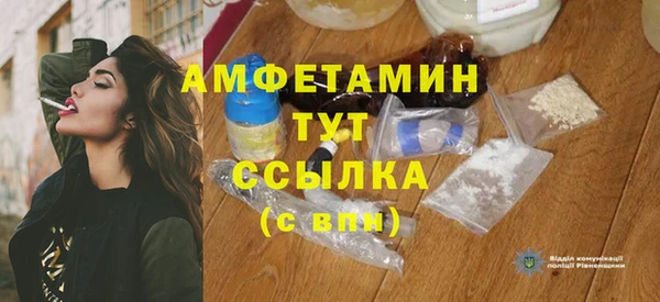хмурый Няндома