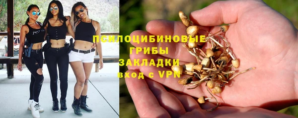 mdma Нязепетровск