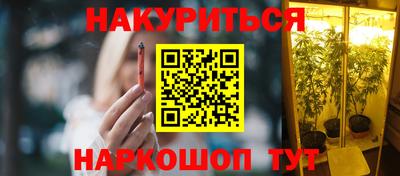 амф Гусев