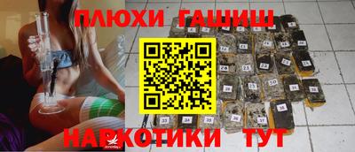 амф Гусев