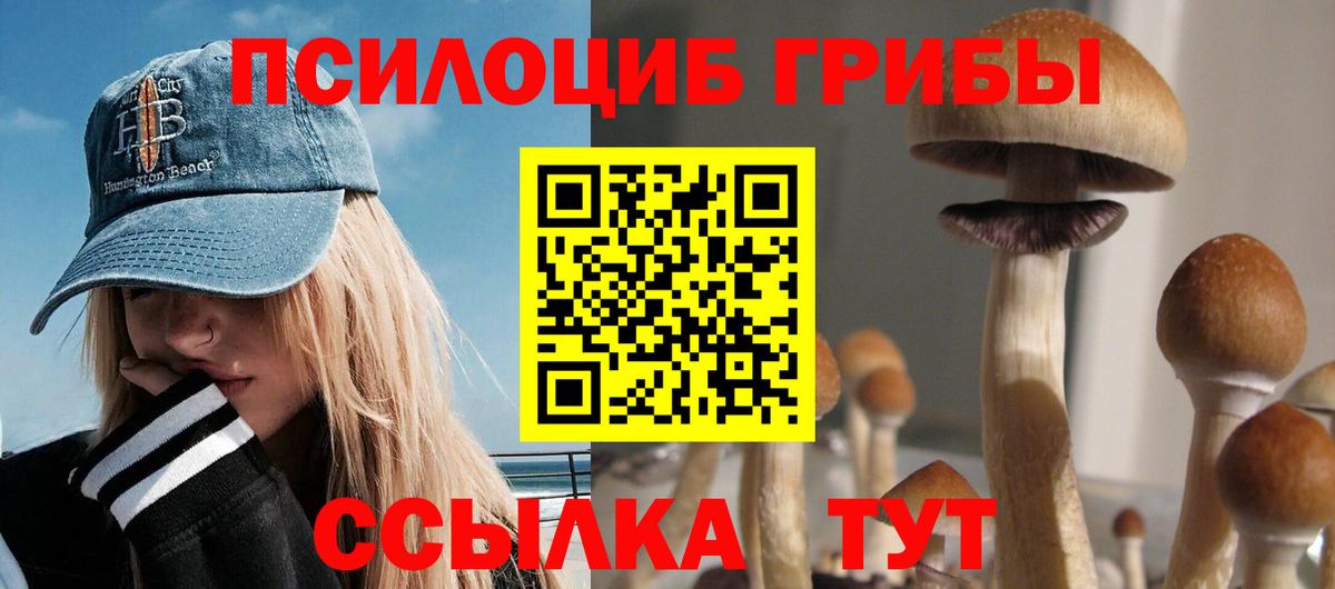 Псилоцибиновые грибы MAGIC MUSHROOMS  Вход с VPN  Конаково 