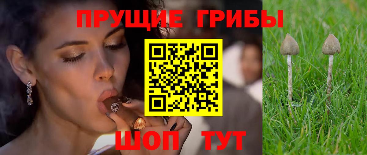 Галлюциногенные грибы мухоморы  Конаково 